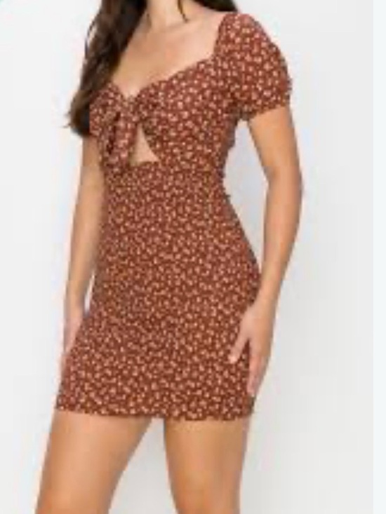 iris Dresses & Skirts - Iris rust brown floral smocked tie front puff sleeve mini dress L